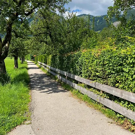 Apartment Haus Breitenberg Im Allgaeu - Inklusive Bergbahnen Und Skipass